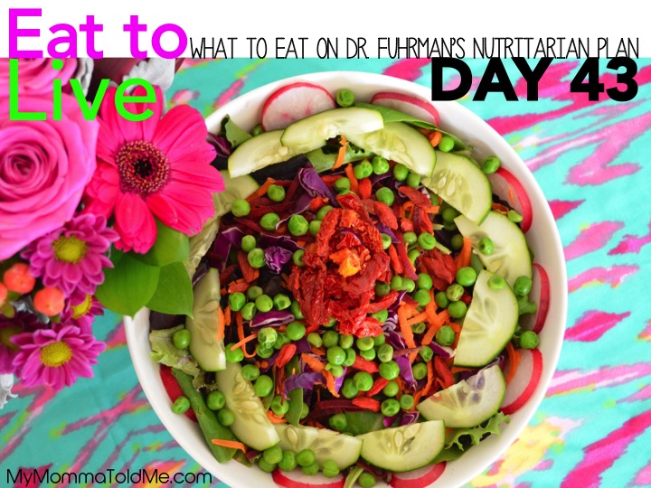 Dr Fuhrman Eat to Live Nutritarian Plan Day 43 Daily Diet Log